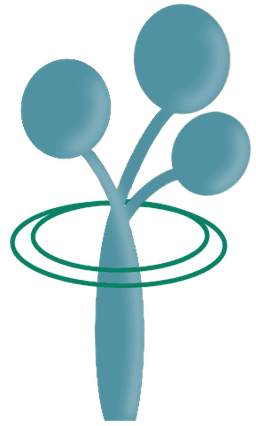 Conext Logo